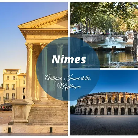 Le Majestic Le Mind Vue Exceptionnelle Grande Terrasse Privee Piscine Partagee Sur Le Toit Hyper Centre